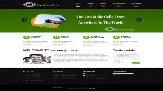 pulsity website developed by Wsofts Technologies
