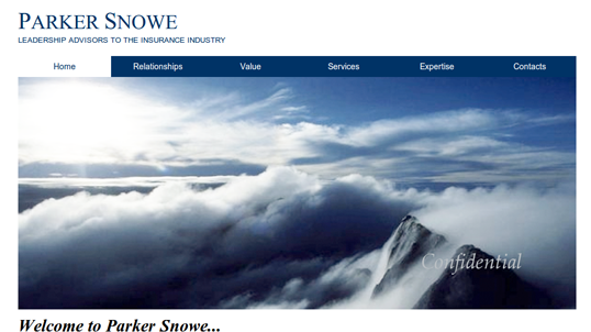 parkersnowe website developed by Wsofts Technologies